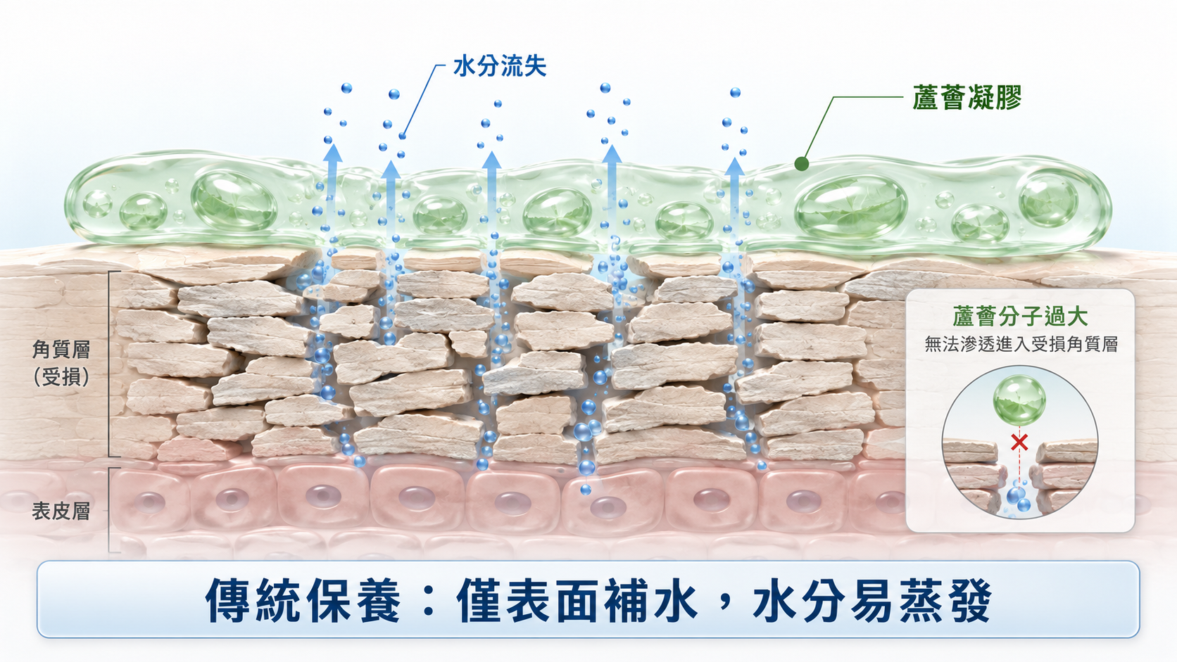 為什麼曬後只擦蘆薈不夠?