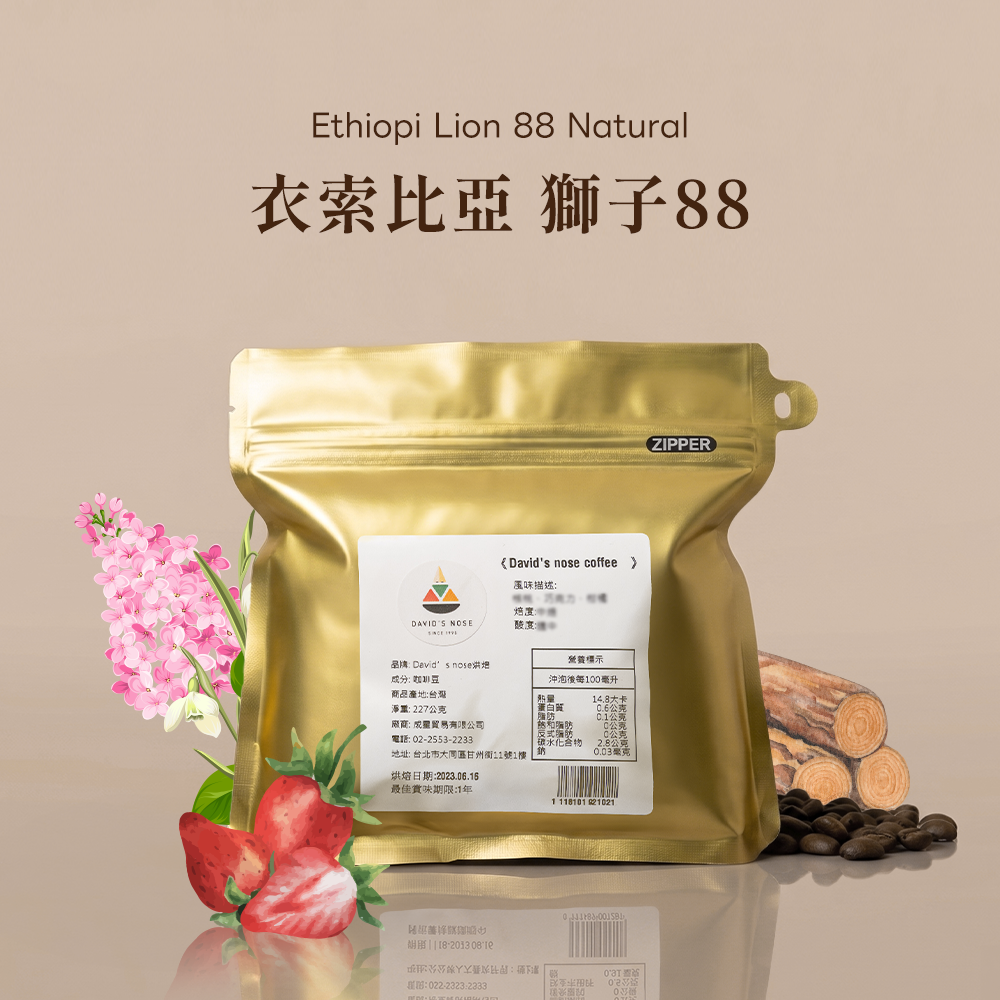 衣索比亞 獅子88