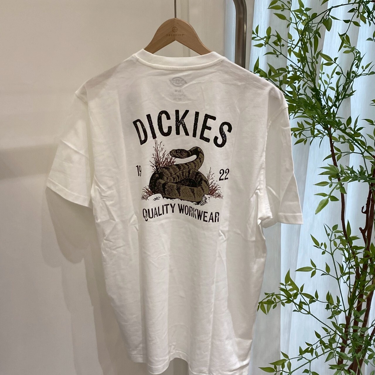 Dickies 美式德州響尾蛇復古短T  A4Z990WH