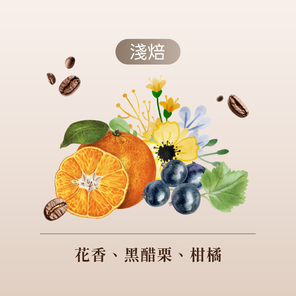 肯亞  奈洛比玫瑰