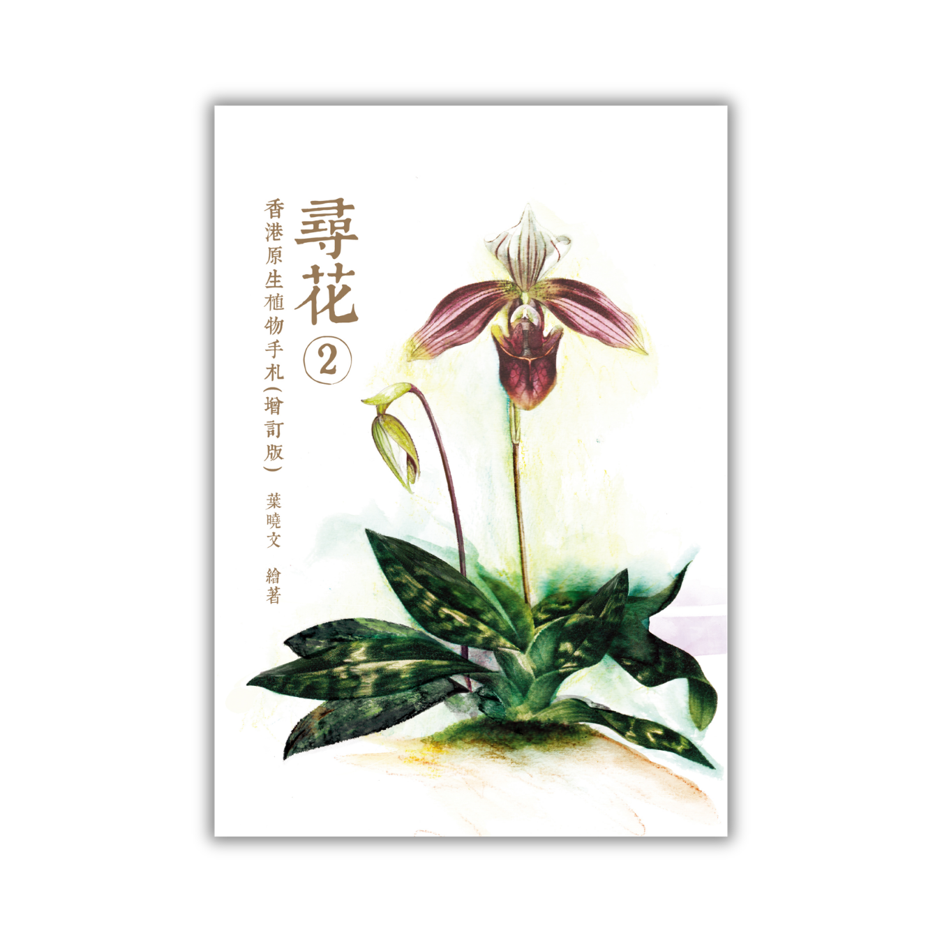 《尋花 2 ——香港原生植物手札（增訂版）》｜葉曉文 著｜三聯書店