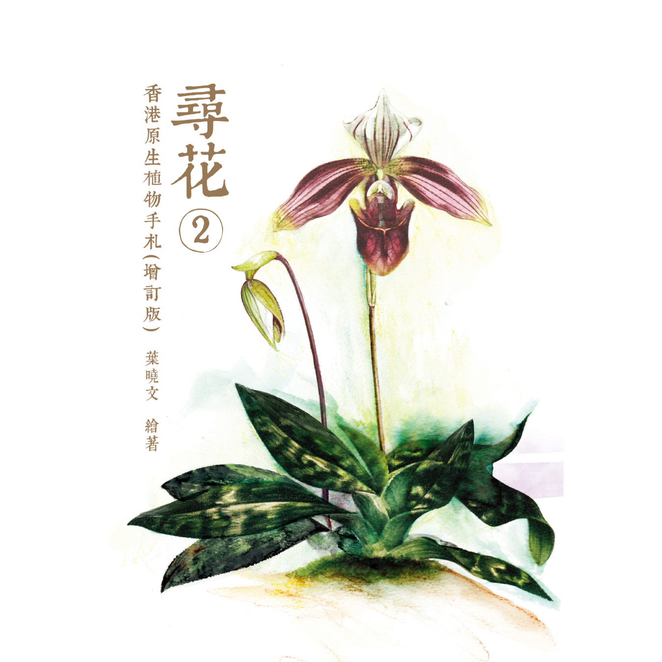 《尋花 2 ——香港原生植物手札（增訂版）》｜葉曉文 著｜三聯書店