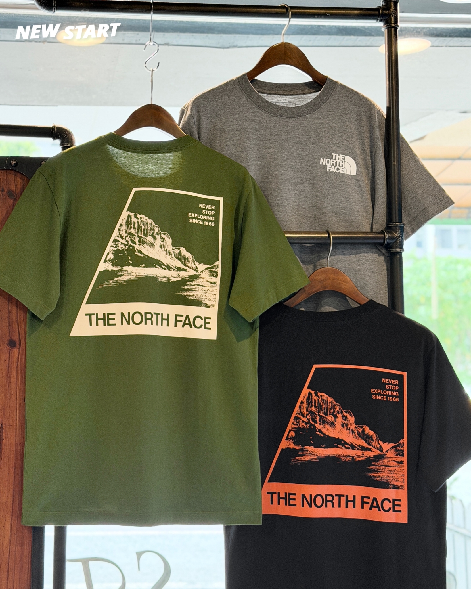 The North Face 北臉 背後山景圖 短袖上衣 短T