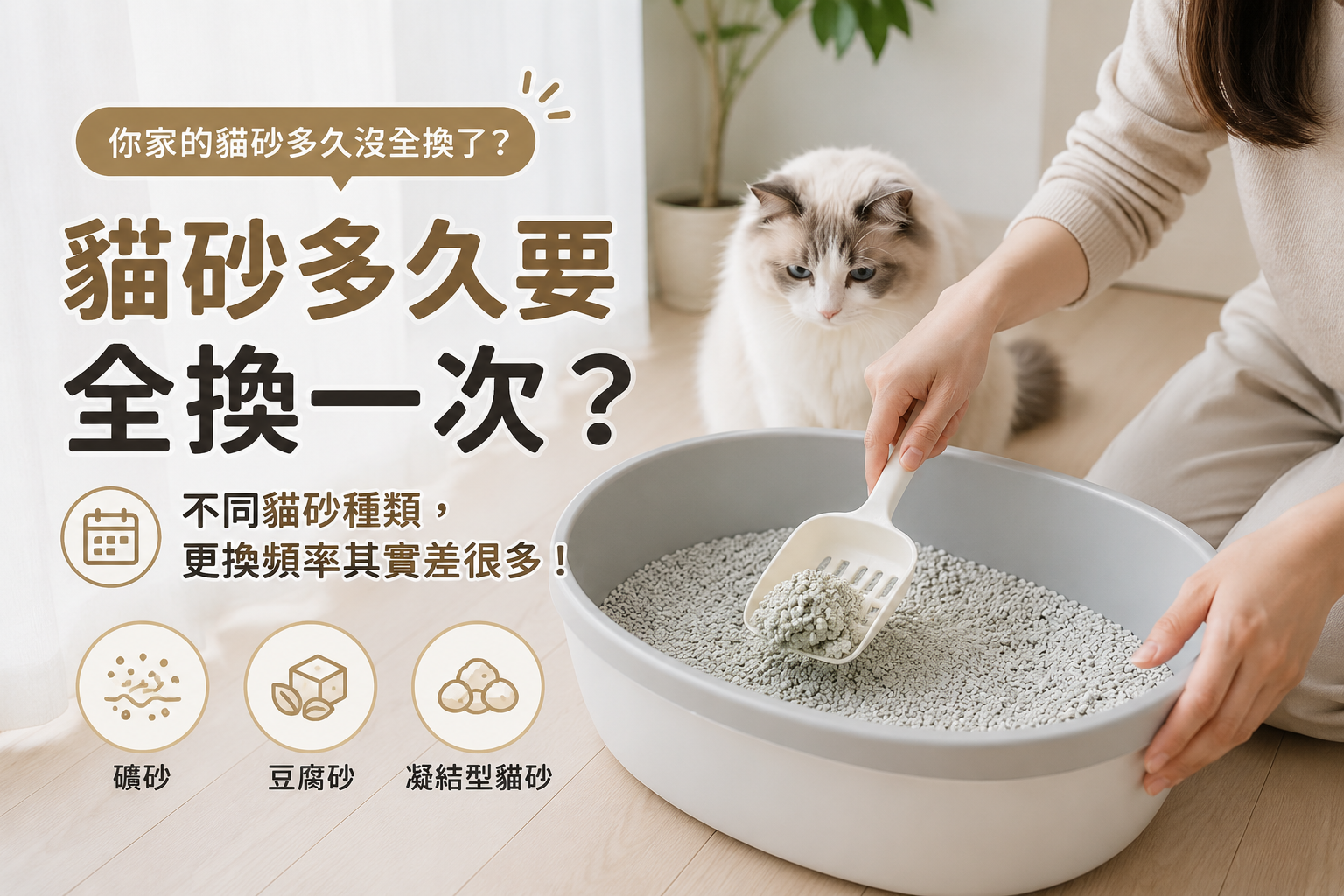 貓砂多久換一次
