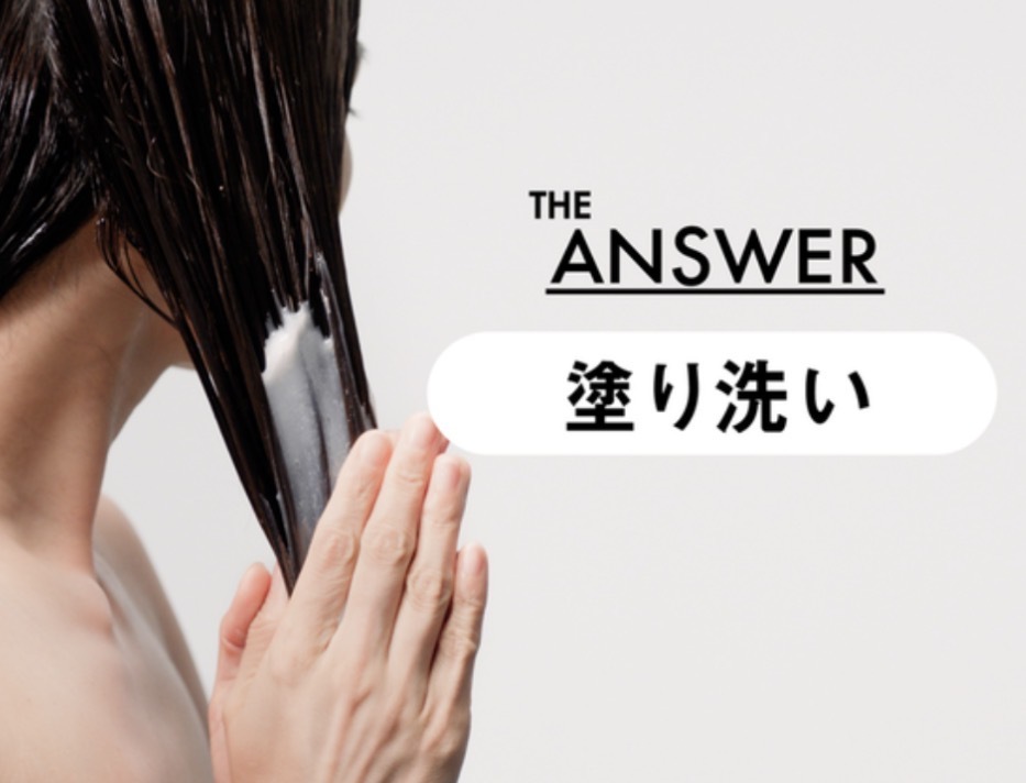 【Cosme 綜合大獎】JP The Answer 無矽靈 超層膜洗髮水 佛手柑瑞香味 6190 6183 TK260608