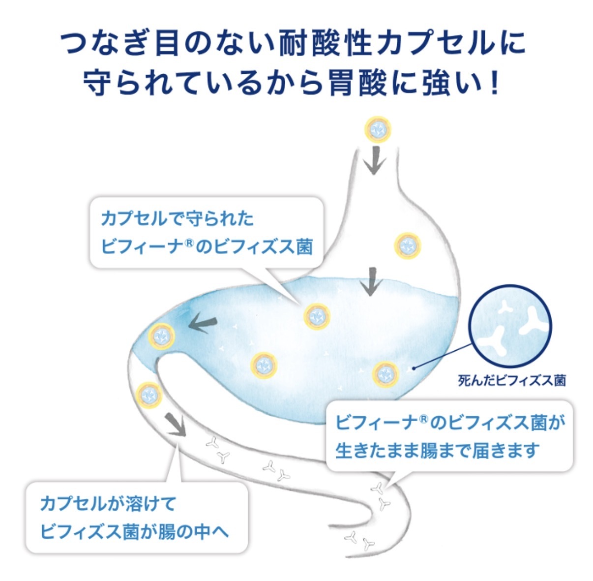 【多莉推薦】JP Health Aid R 25億益生菌乳酸菌 20日 1580 TK260608