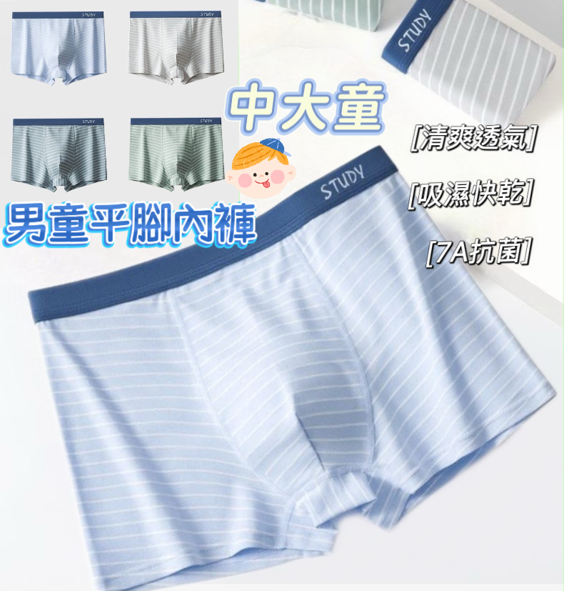 (現貨) 中大童平腳內褲 (1套4條)