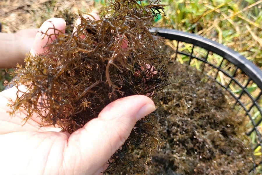向禾休閒漁場