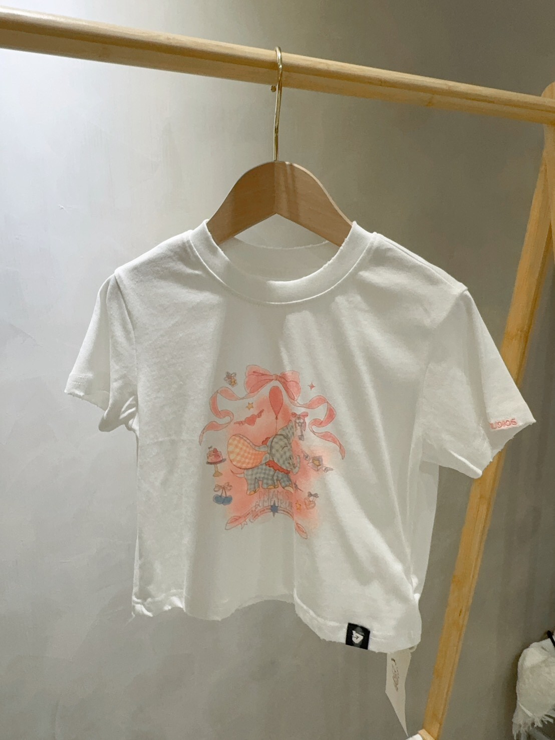 I15 小飛象破損上衣