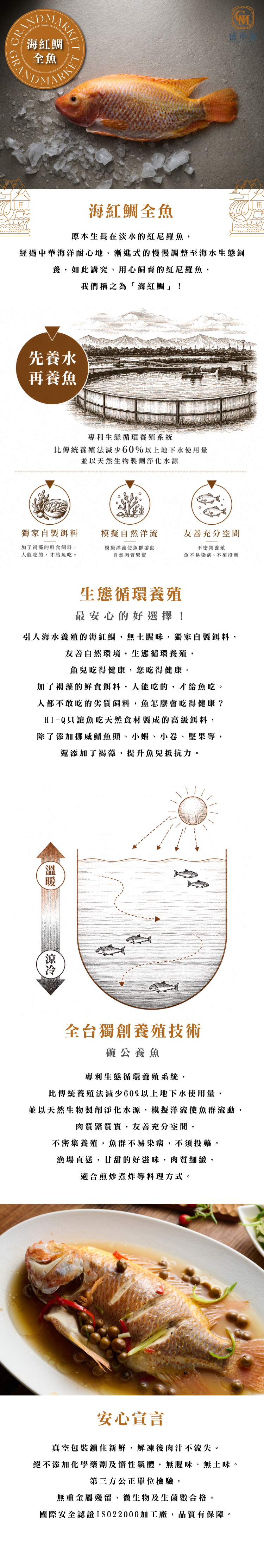 鮮魚-海紅鯛全魚 500g|盛市集