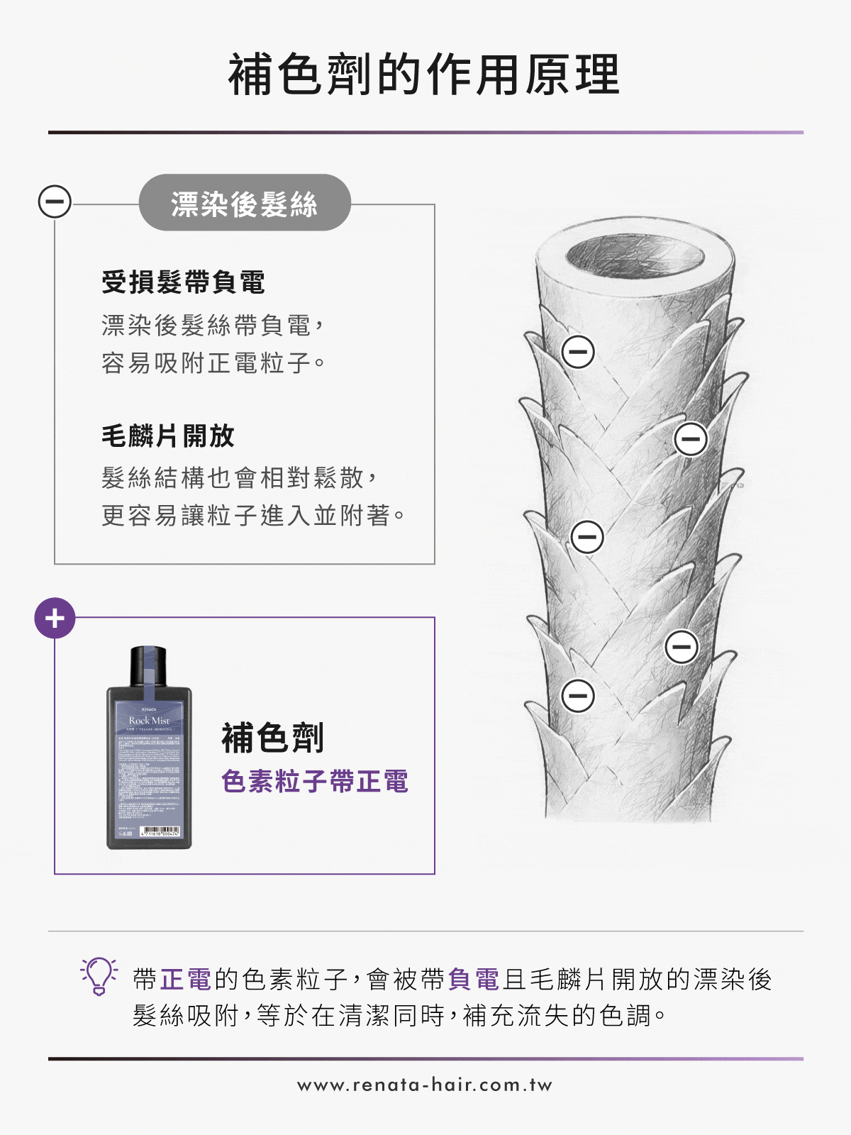 補色劑的作用原理