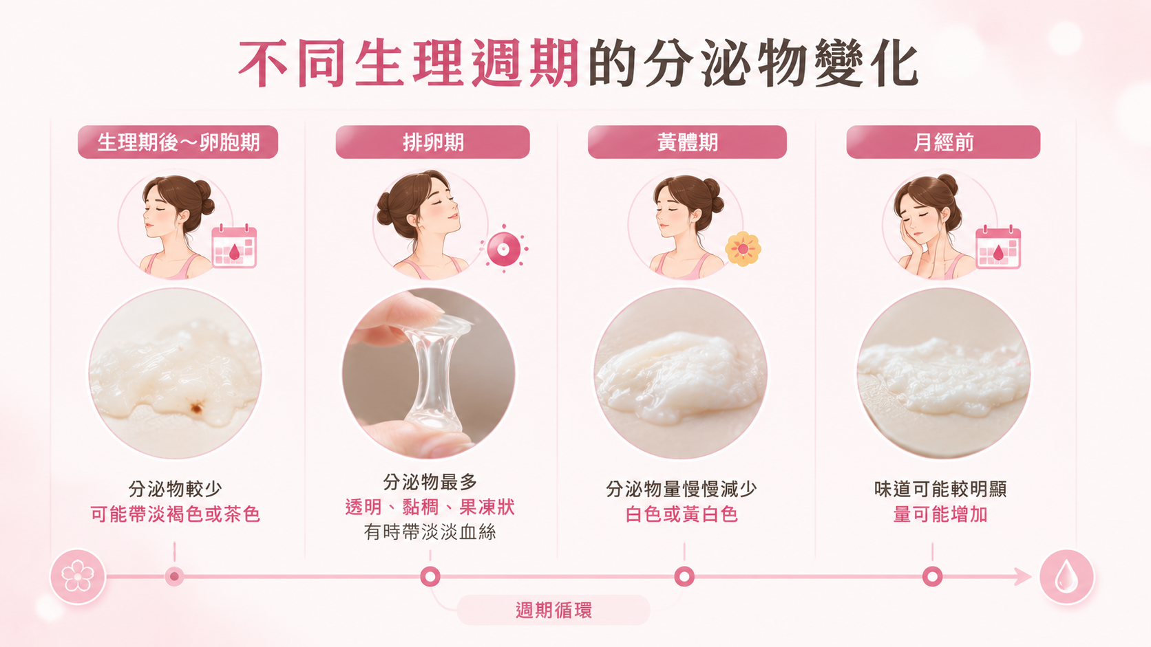 不同生理週期的分泌物變化