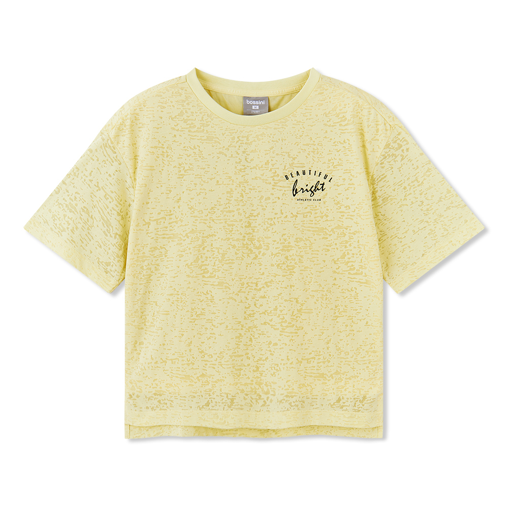Ladies Burn-out Short Sleeves Tee