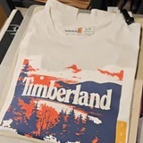[S] TIMBERLAND IVORY LANDSCAPE GRAPHIC SHORT SLEEVED TSHIRT, TB0A41Y8-CM9 (STL21)