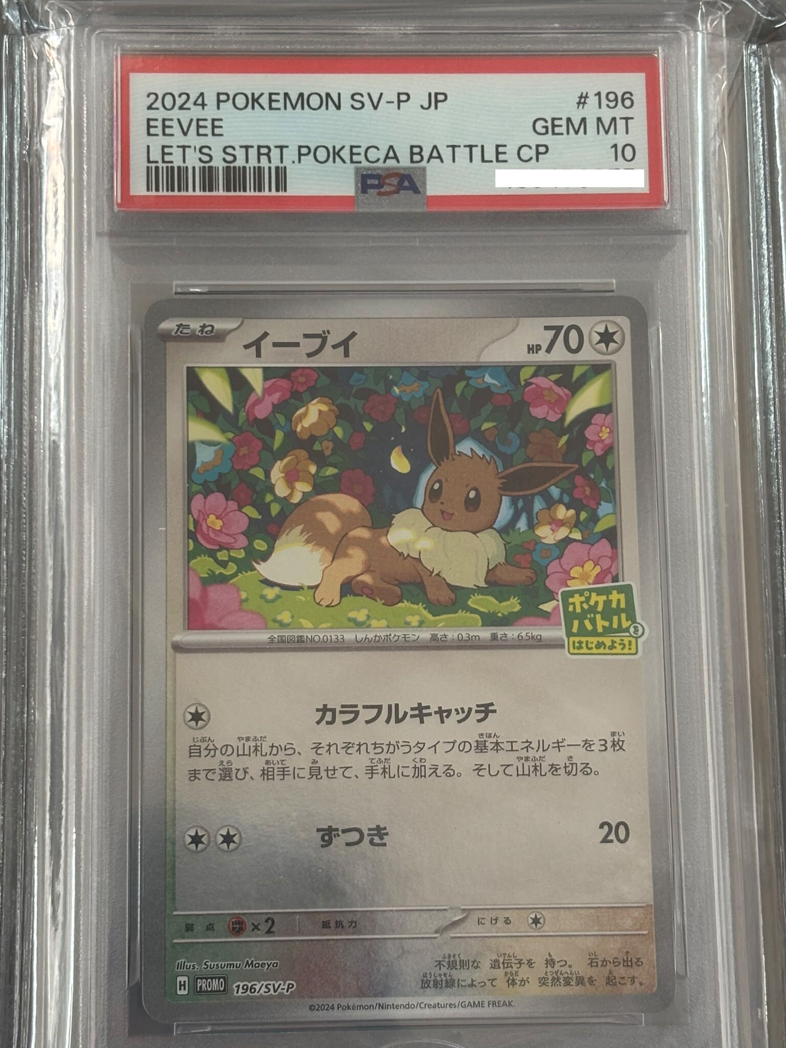 2024 POKEMON JAPANESE SV-P PROMO #196 EEVEE LET'S STRT.POKECA BATTLE CP