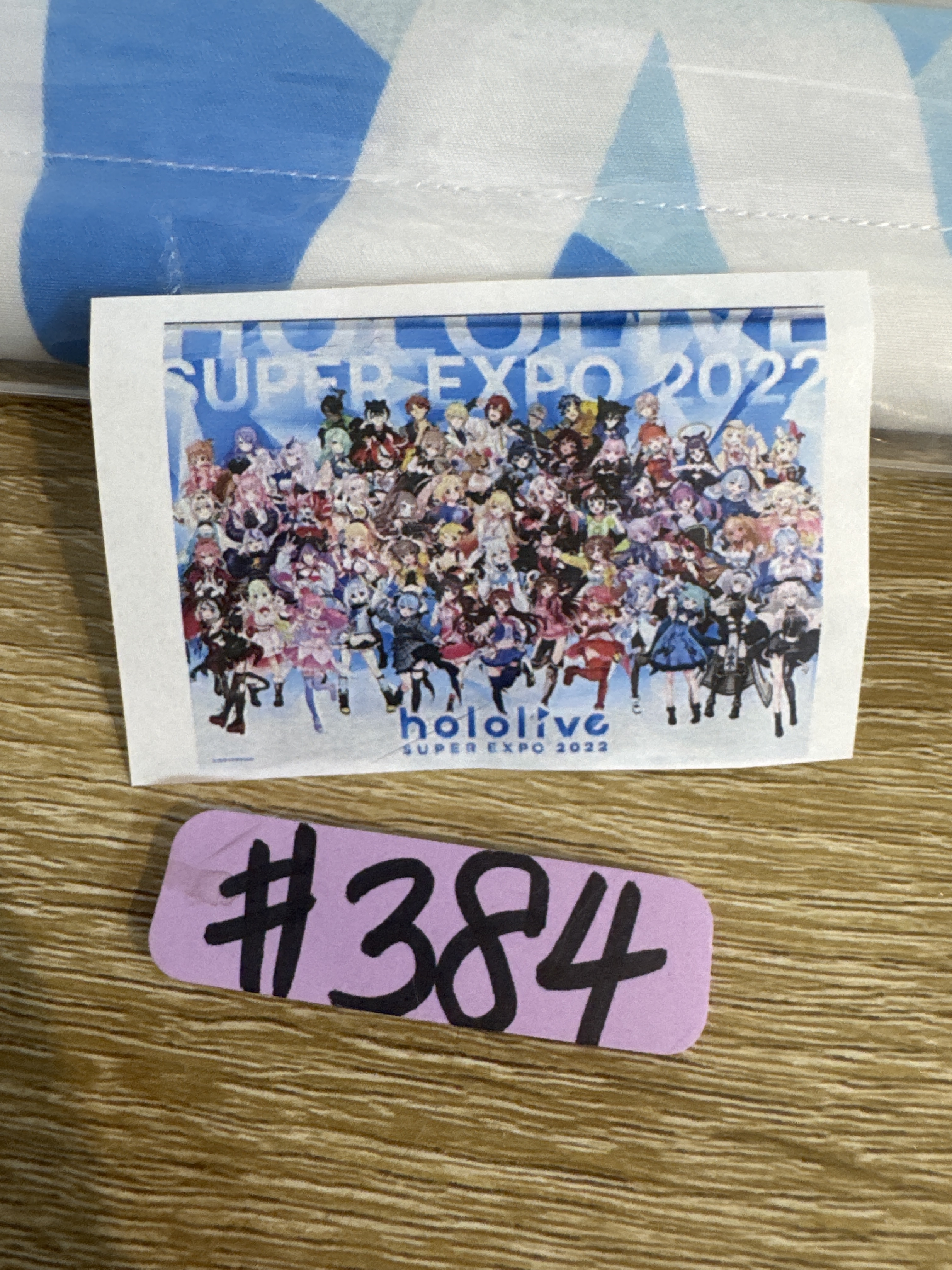 HOLOLIVE expo 2022 掛畫 #384