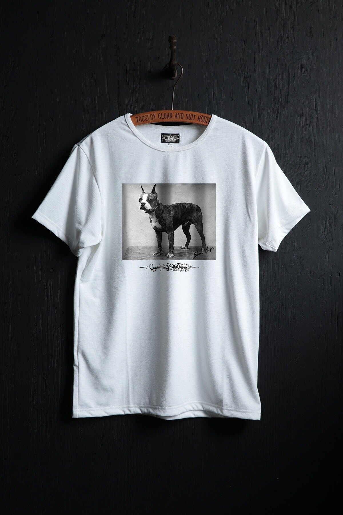 Black Sign Champion “Vivillo Danday” Cooling Underwear / Off White (Coming soon)