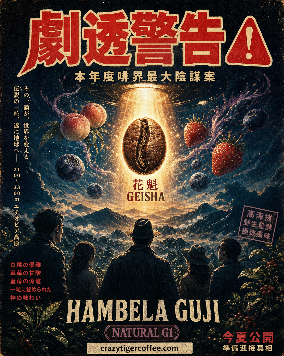 Ethiopia Hambela Guji Geisha Natural G1