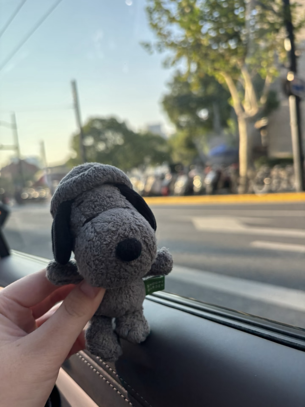 （預購）🇰🇷🍊韓國濟州島限定史努比  SNOOPY