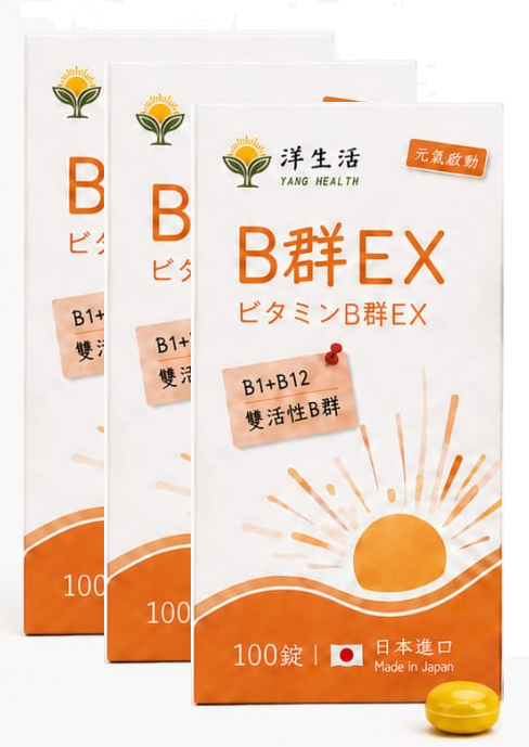 B群EX-三入組