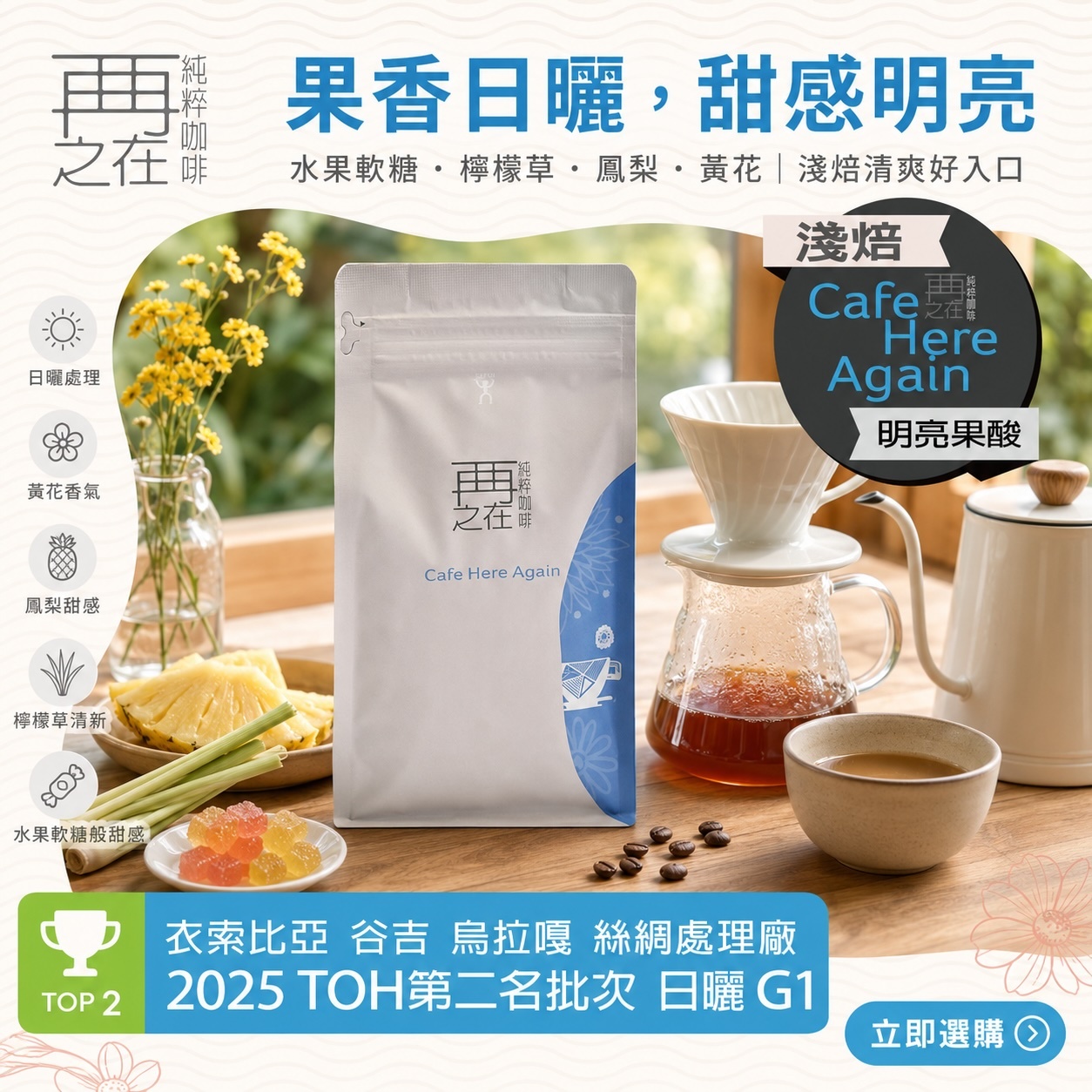 衣索比亞 谷吉 烏拉嘎 絲綢處理廠 2025 TOH第二名批次 日曬 G1
