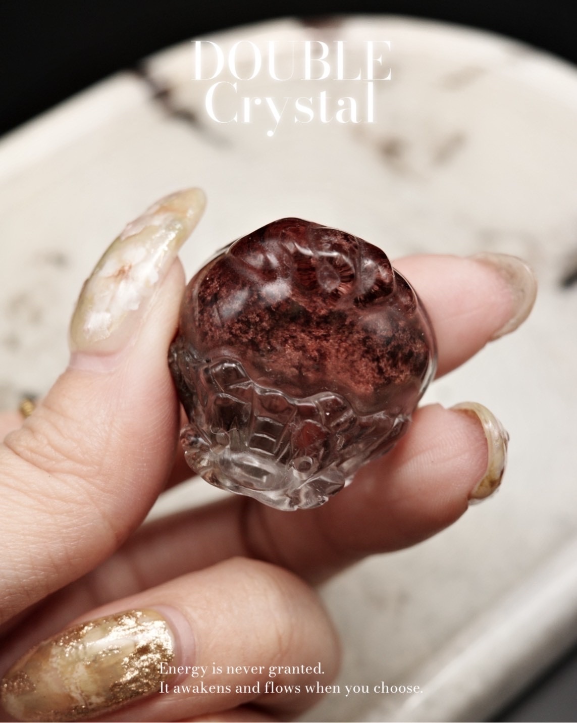 精品半盆紅幽靈｜招財｜龍龜