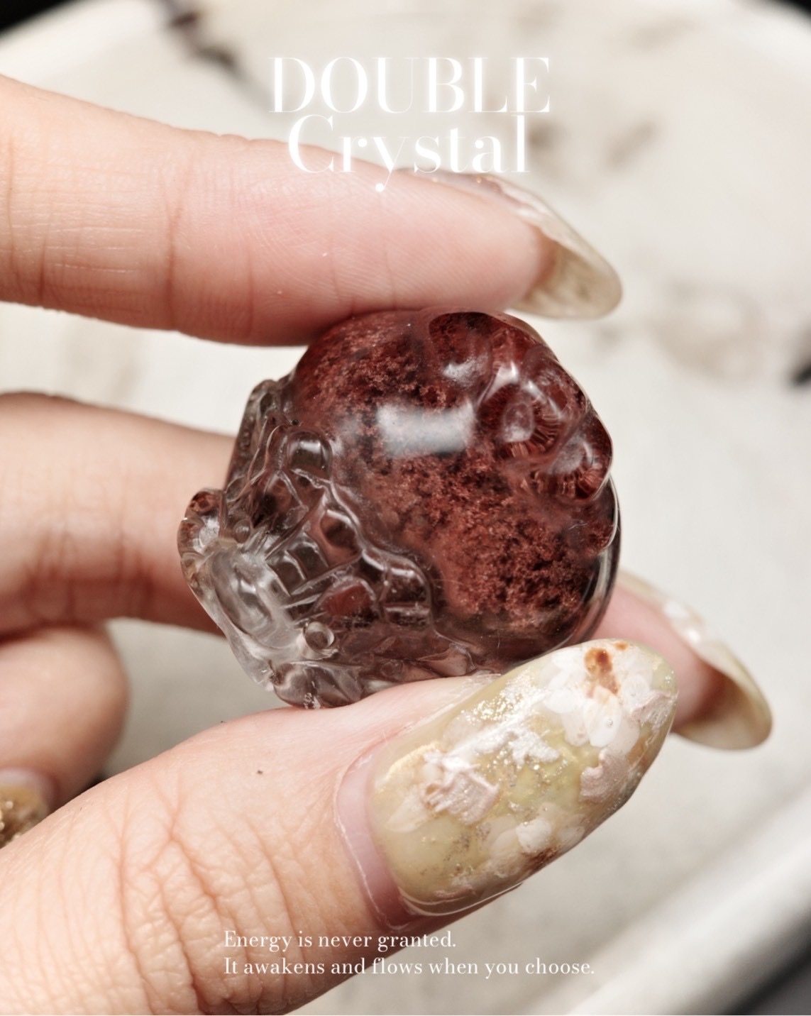 精品半盆紅幽靈｜招財｜龍龜