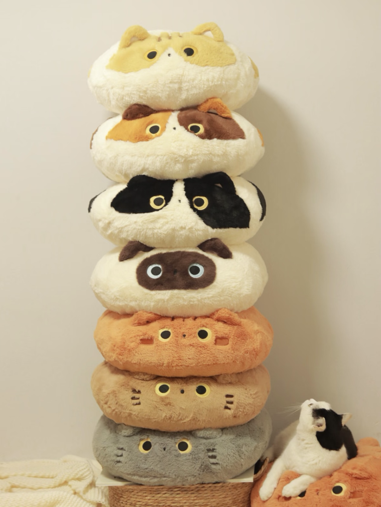 預購! 🐱呆萌麻糬貓咪毛絨坐墊