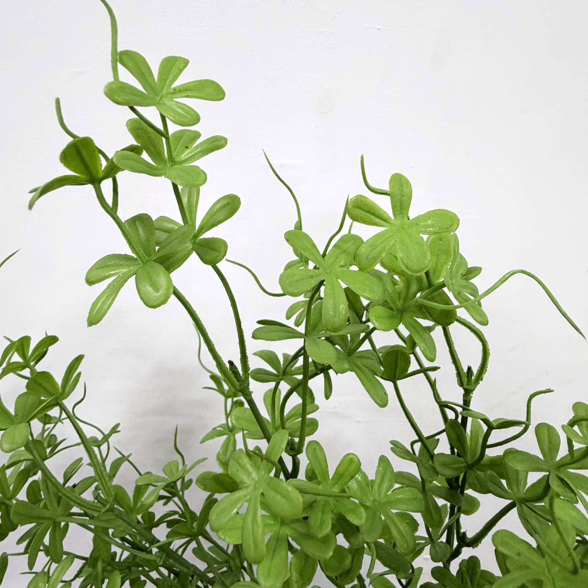仿真膠桿鵝掌藤蔓