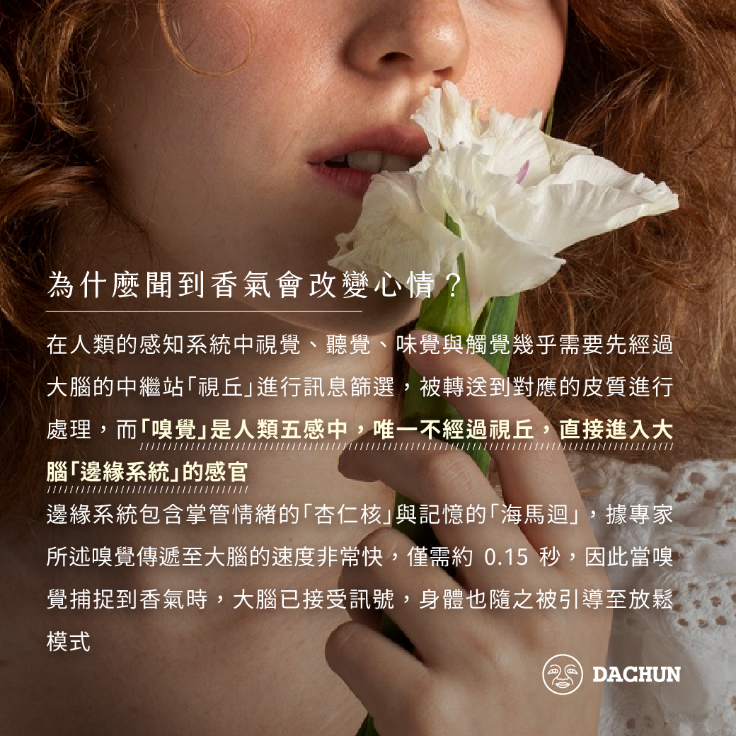 大春煉皂,滾珠棒,精油