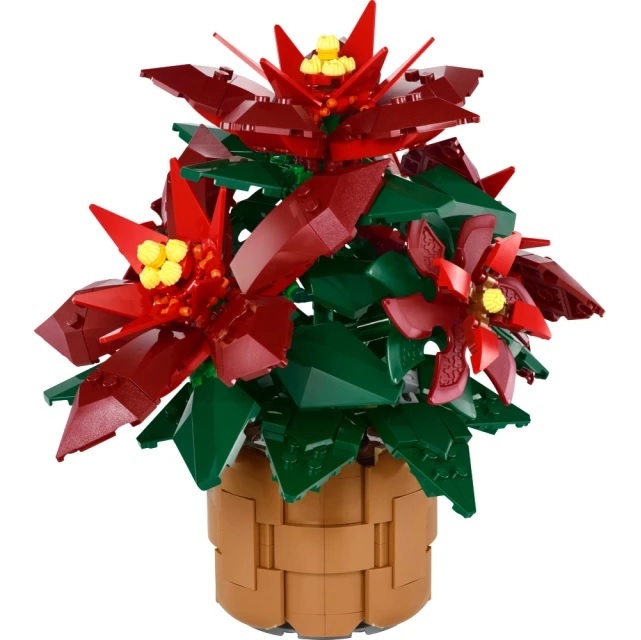 【玩具研究中心】LEGO 樂高 Icons 聖誕紅 10370