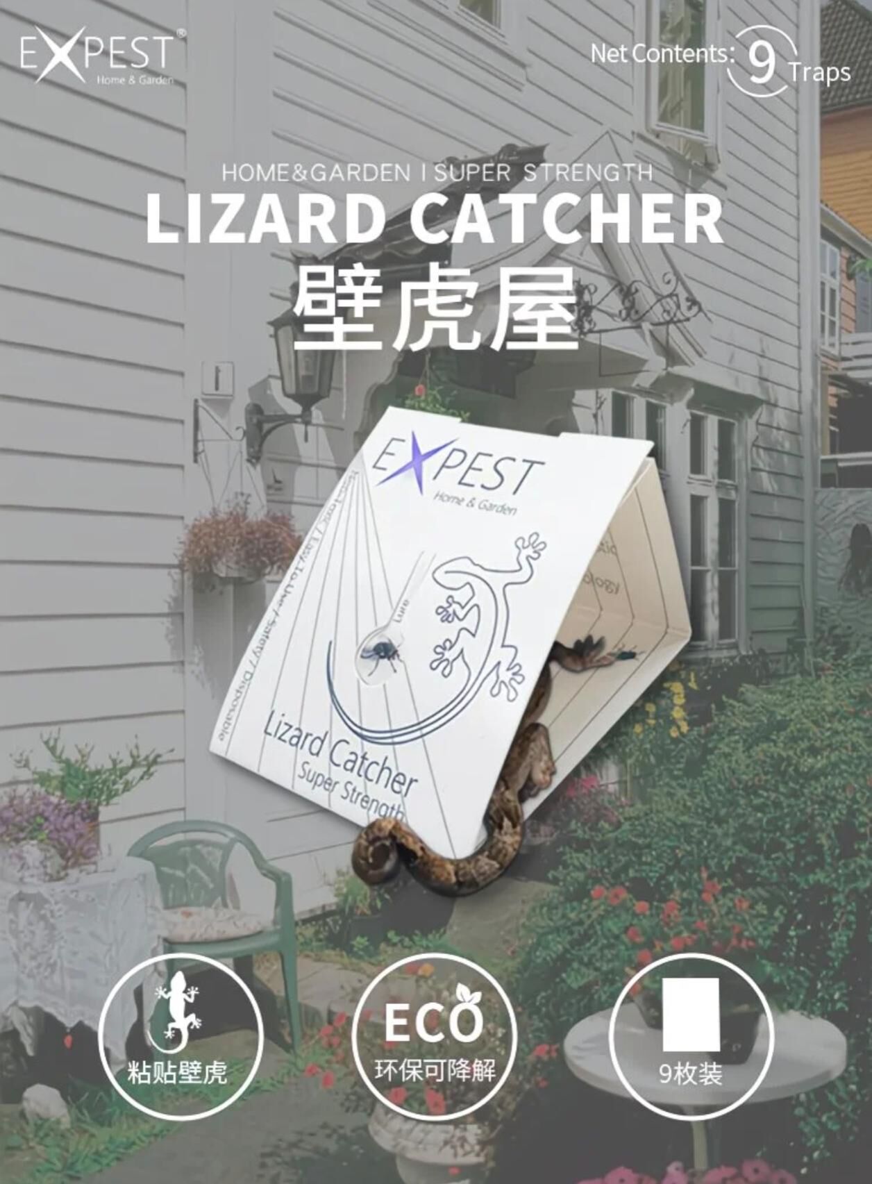 EXPEST Home & Garden 壁虎屋 專利無毒捕壁虎器 9片裝