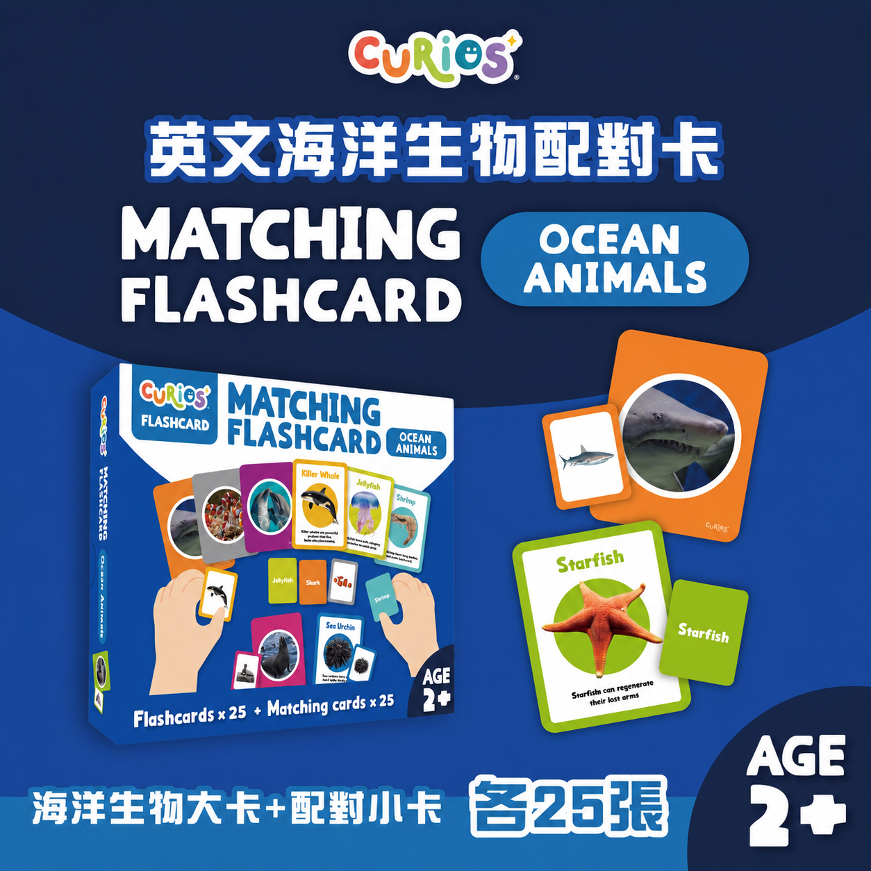 Curios® Matching Flashcard - Ocean Animals