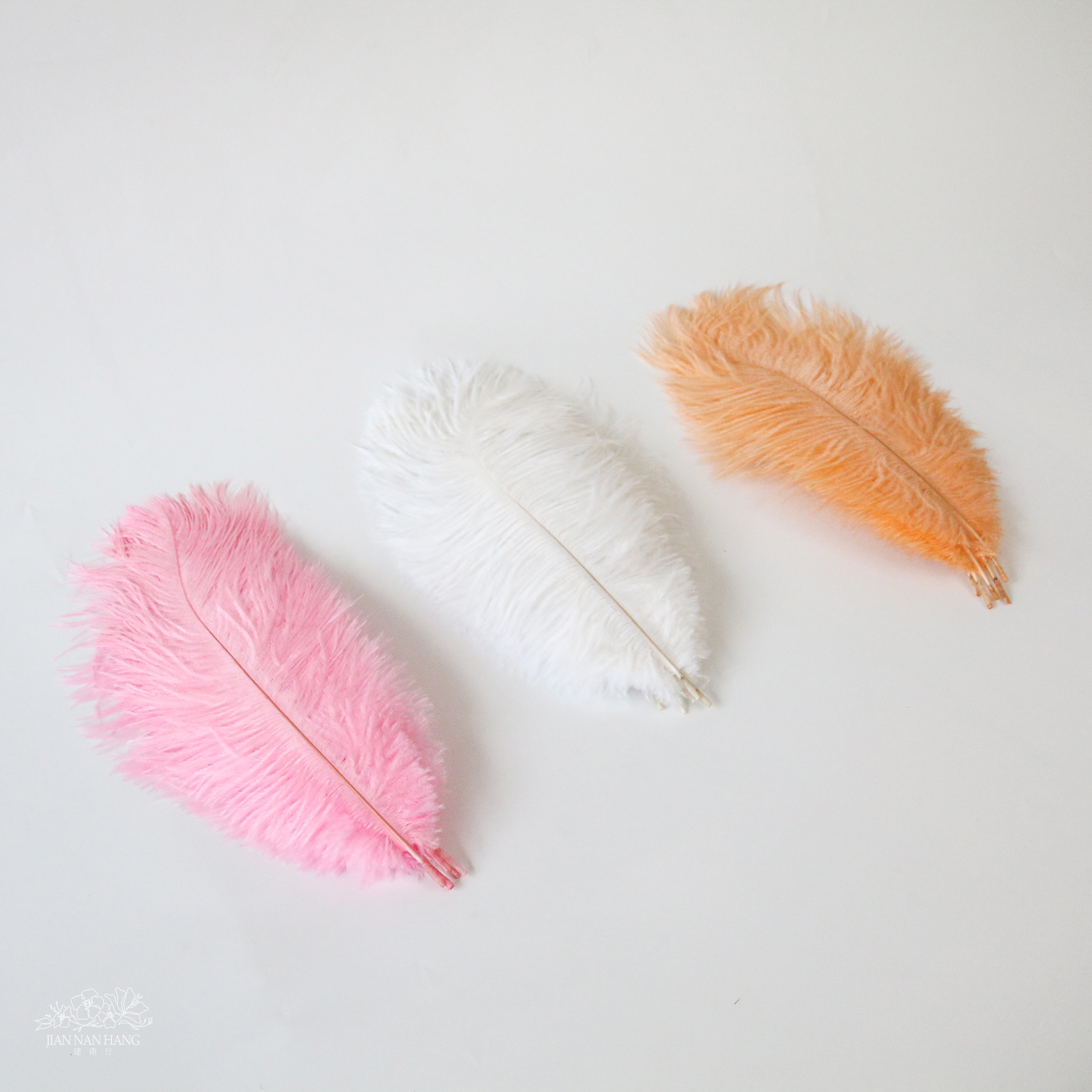 裝飾 鴕鳥羽毛  5入 約25-30CM  3色