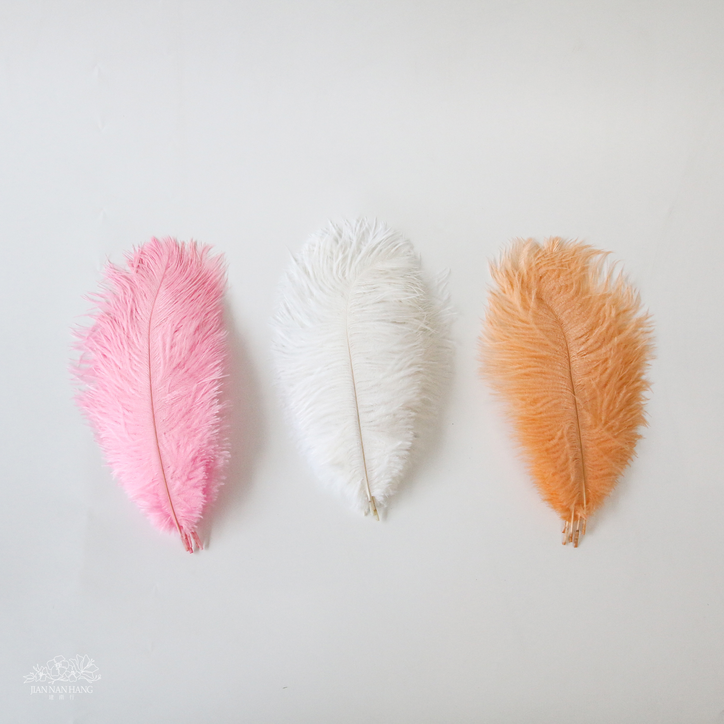 裝飾 鴕鳥羽毛  5入 約25-30CM  3色