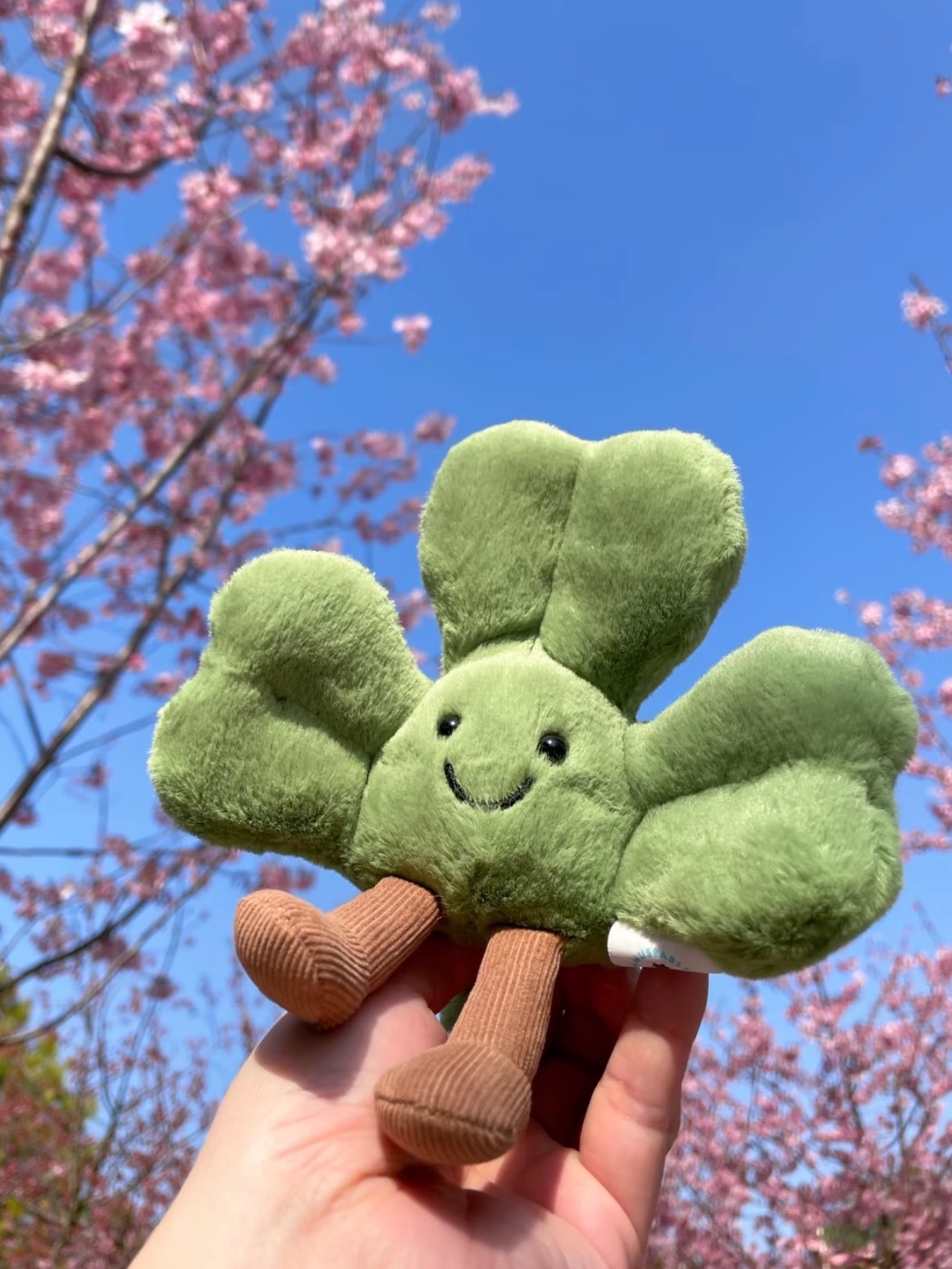 JELLYCAT 仙奧弗拉 愛爾蘭 三葉草 毛絨 掛件