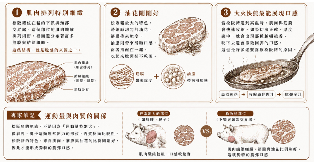 豬僧帽肌(霜降肉)特寫,展現紅白相間的肌肉紋理與細緻油花