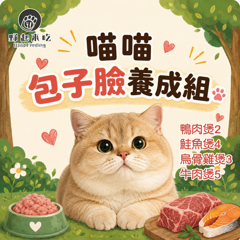 喵喵包子臉養成組(4種口味共14包)