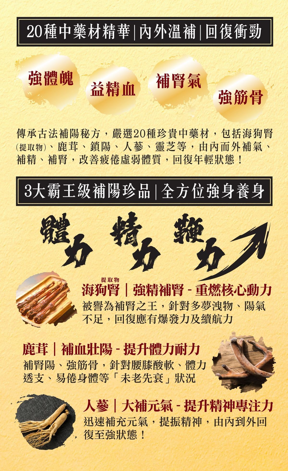 草姬 - 男補 霸王海狗丸 60粒
