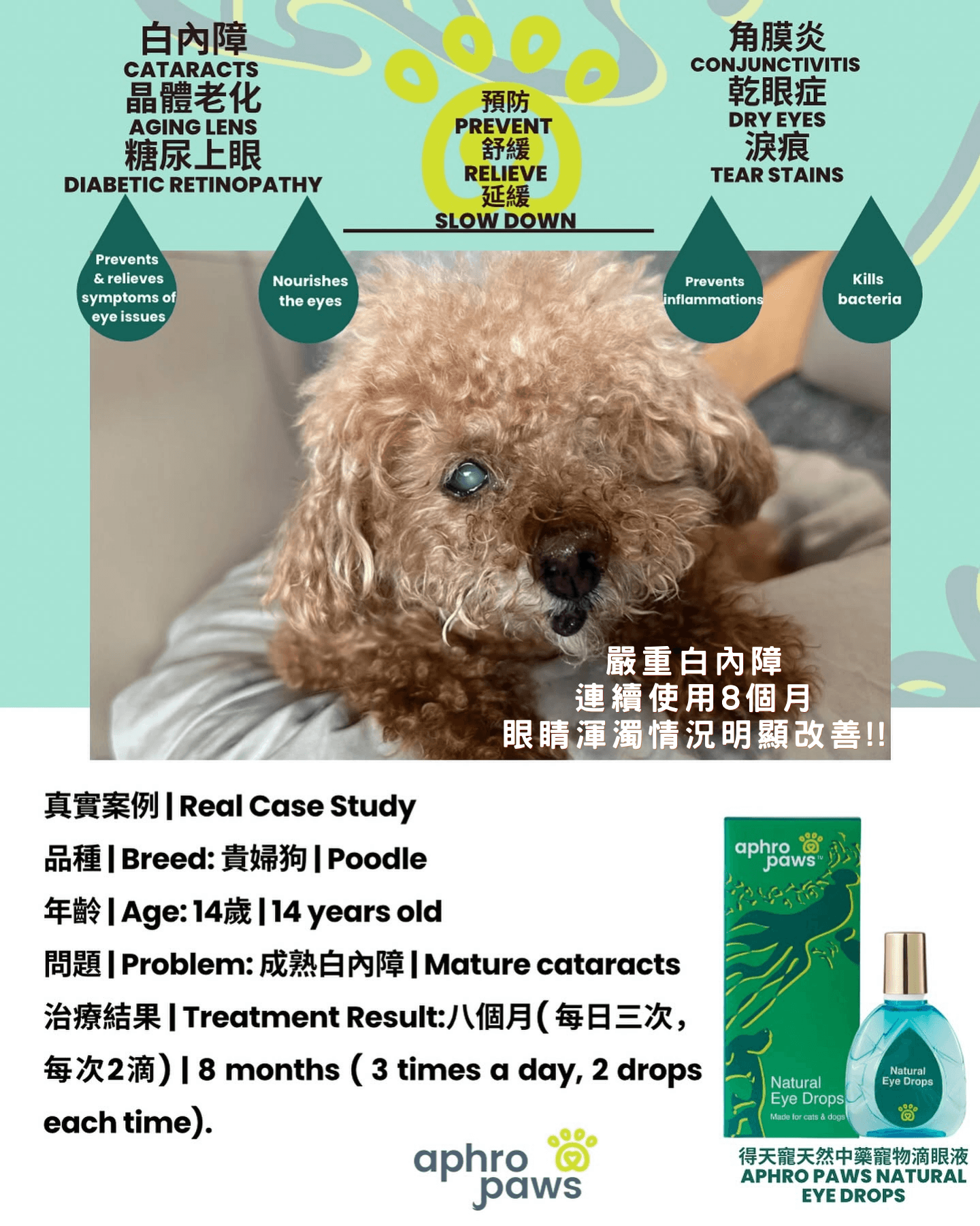 Aphro Paws 眼藥水
