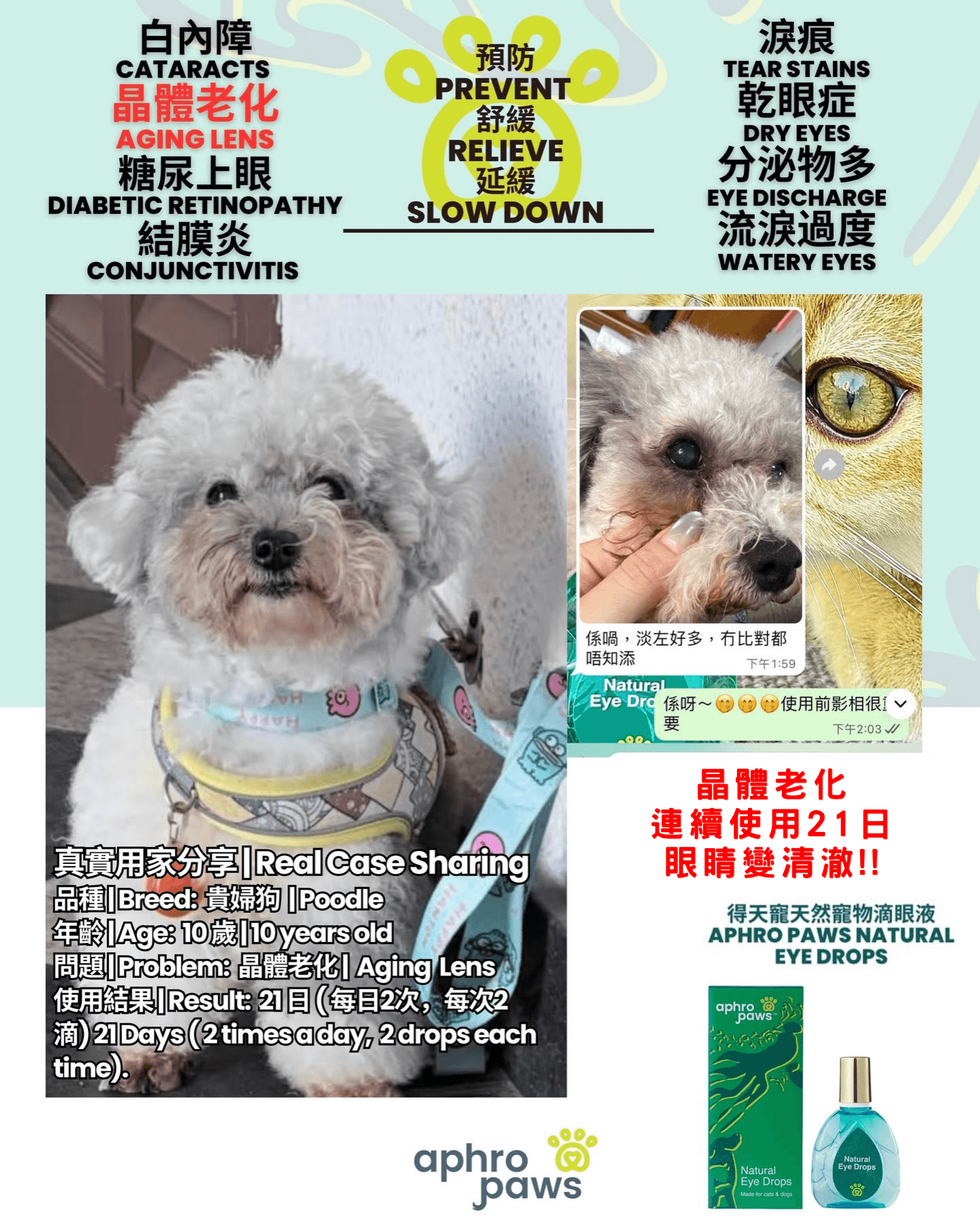 Aphro Paws 眼藥水
