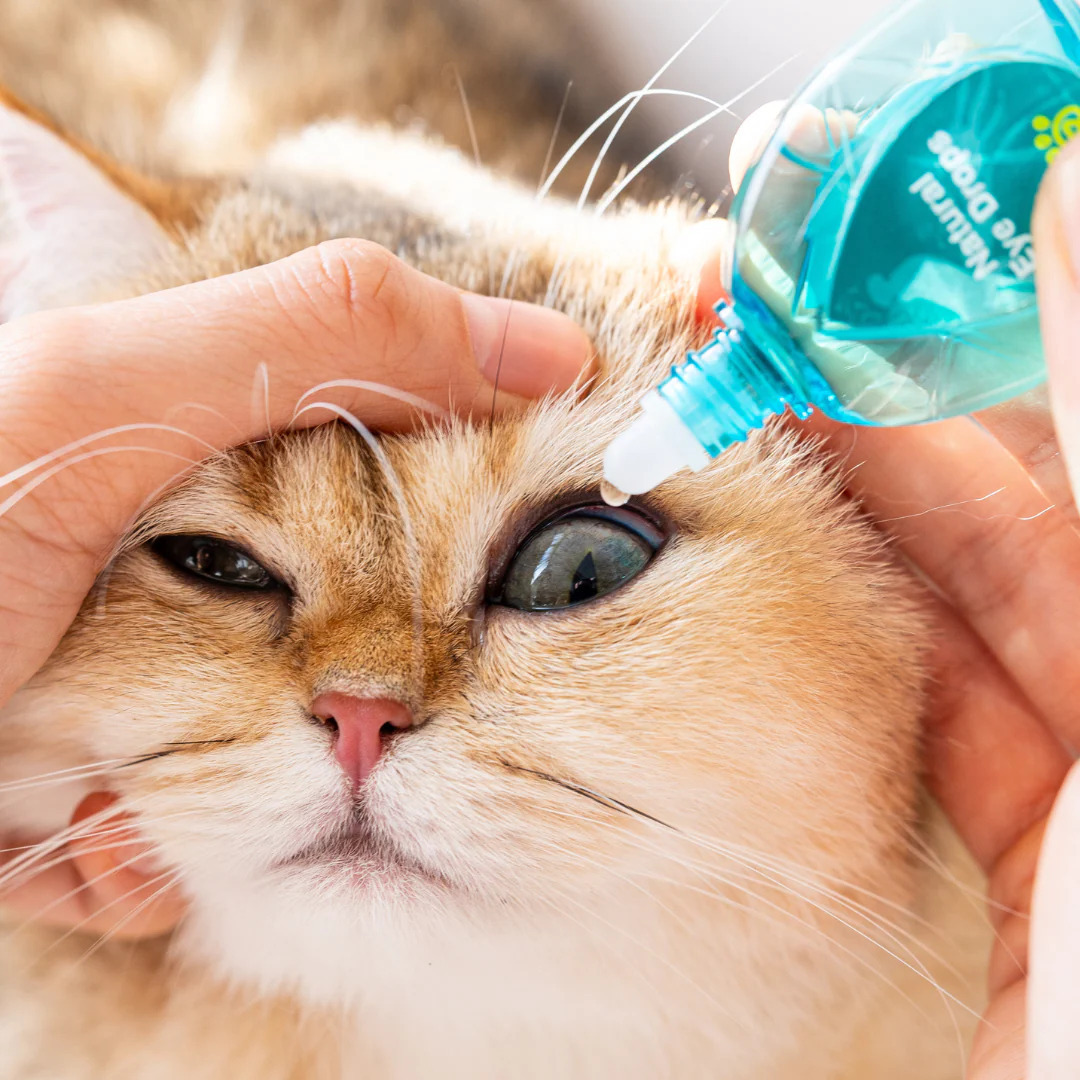Aphro Paws 寵物天然眼藥水 15ml