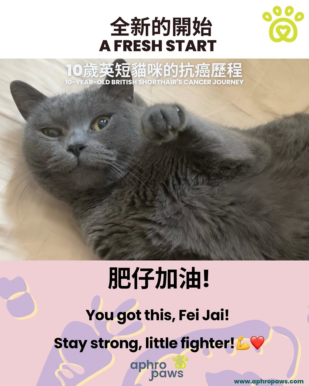 Aphro Paws 肝臟排毒補充口服滴劑