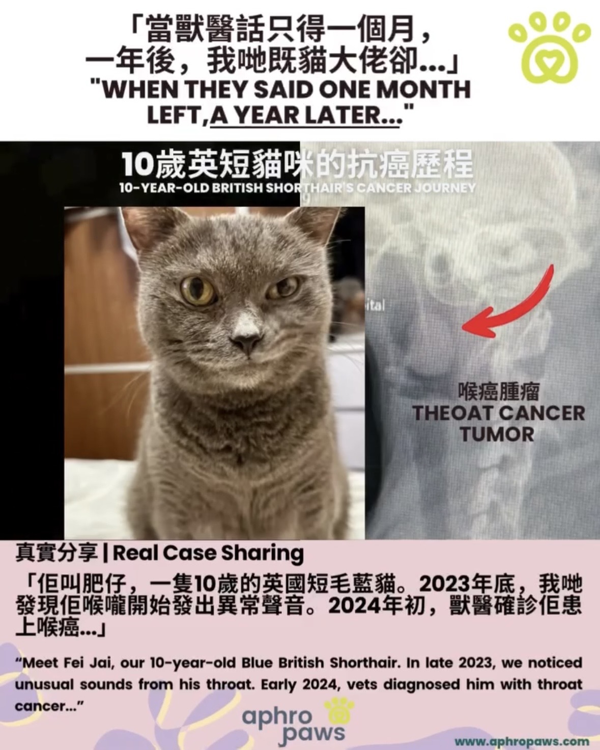 Aphro Paws 肝臟排毒補充口服滴劑