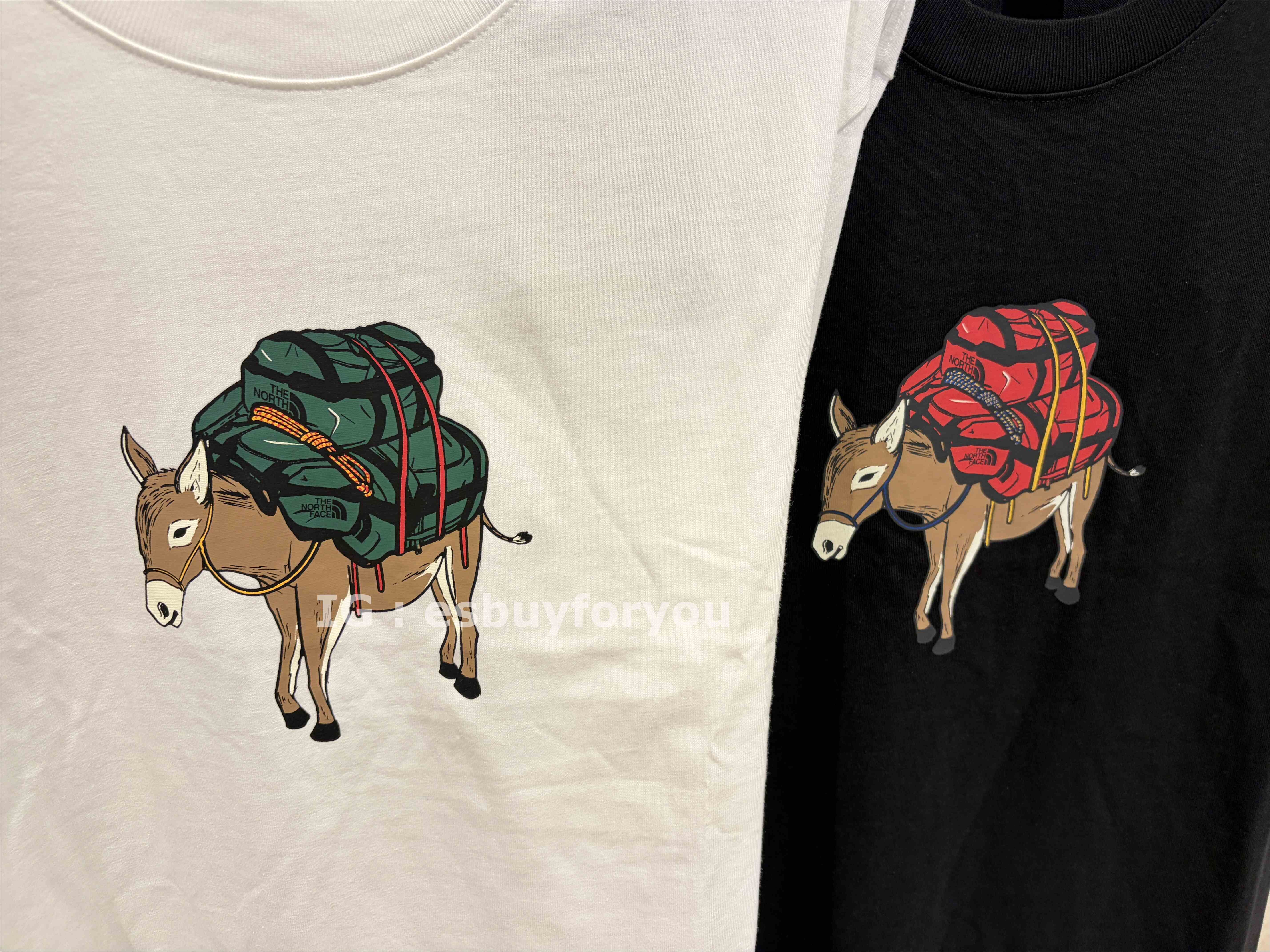 THE NORTH FACE 男款 Donkey圖案 小厚磅 短TEE