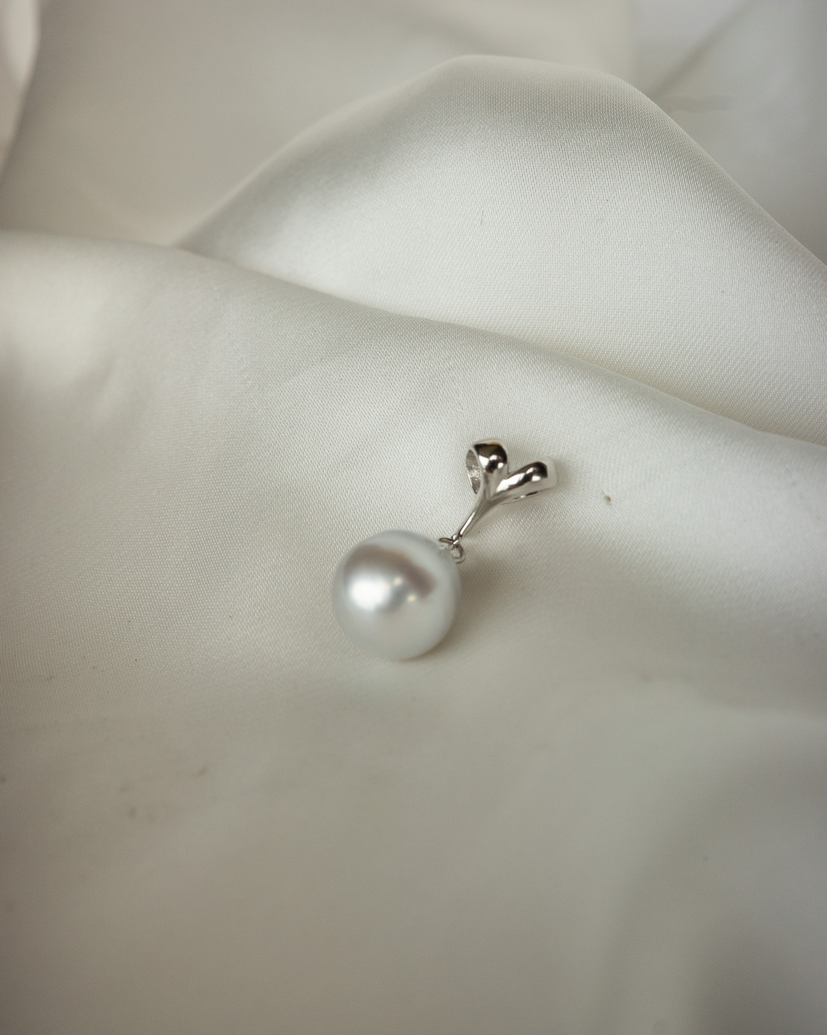Jeune Pousse 初芽