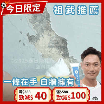 《台灣製造》防水防霉牆面修補膏 (台灣直寄港澳)