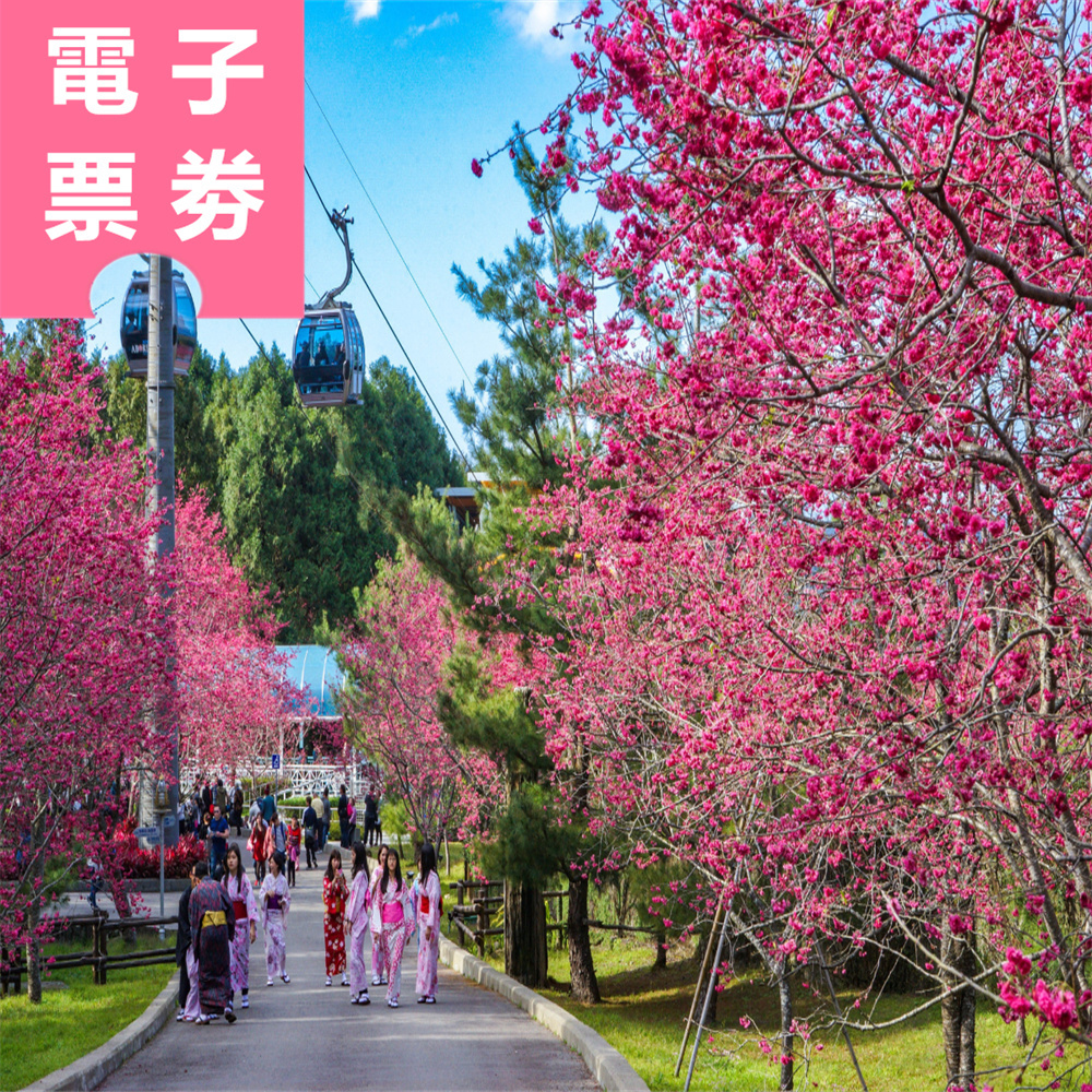 【電子票劵】南投｜九族文化村+台灣好行日月潭線來回全票，贈日月潭纜車當日搭乘 Ⓕ