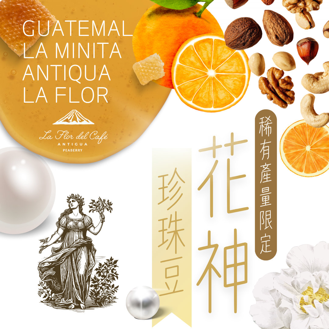 花神 珍珠豆限定款