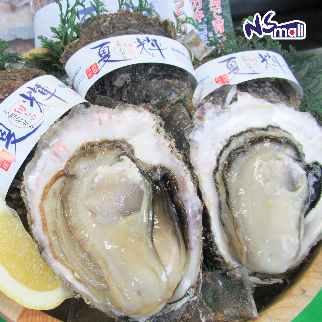 鳥取県岩戸 夏輝生蠔 約900g-1kg/隻